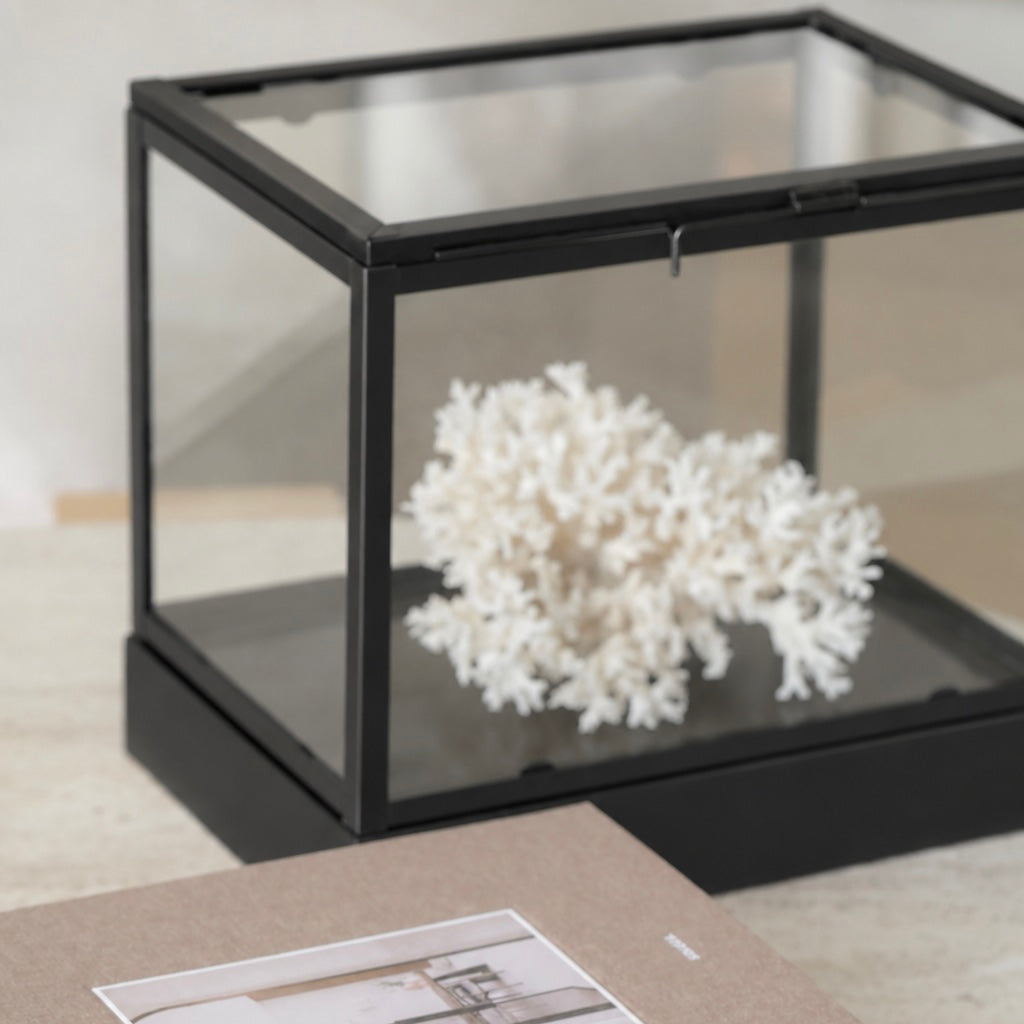 Glazen Display Box