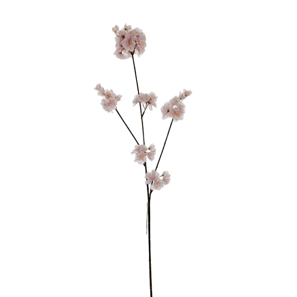 Kunsttak Bloesem | Diverse kleuren