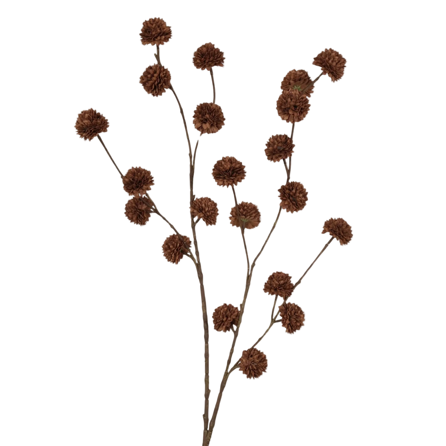 pompom bolletjes tak