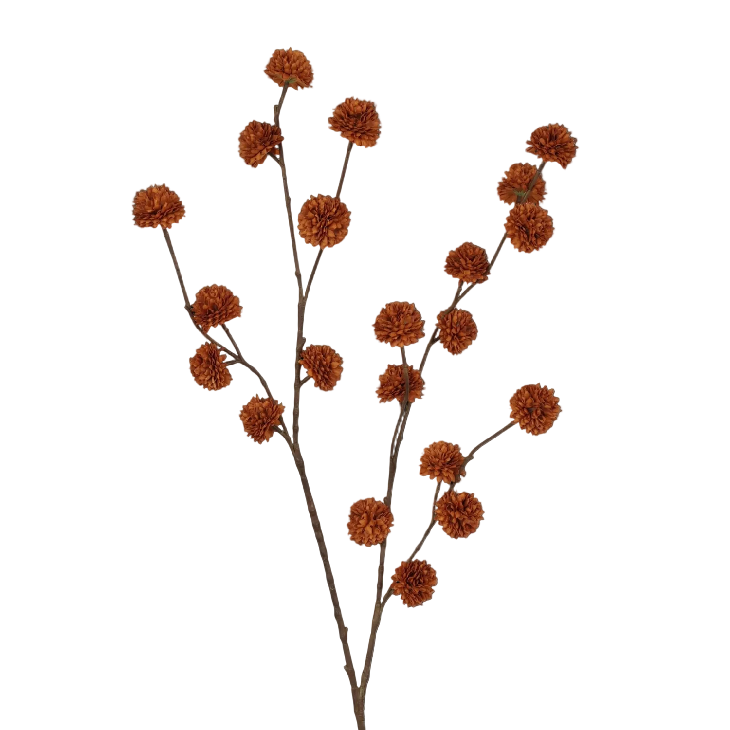 pompom bolletjes tak lichtbruin