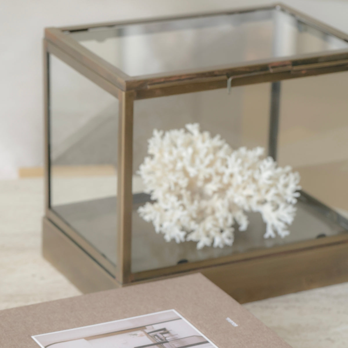 Glazen Display Box