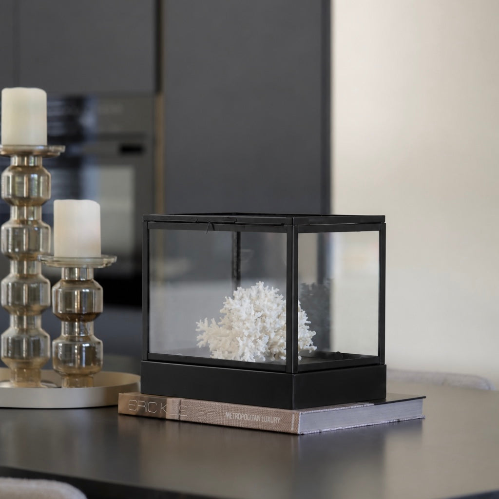 Glazen Display Box