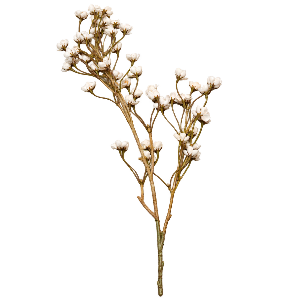Kunsttak Fleur