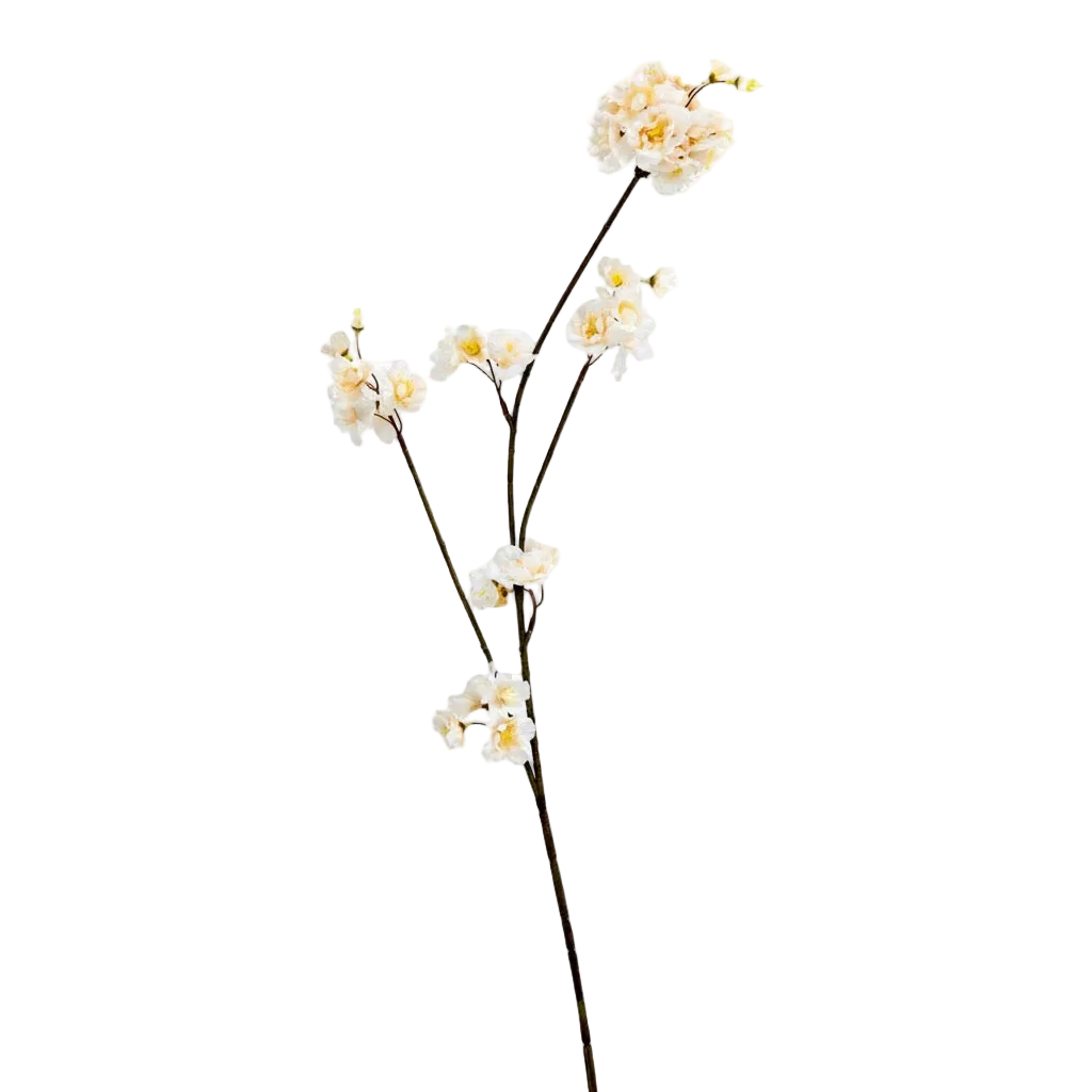 Kunsttak Bloesem | Diverse kleuren