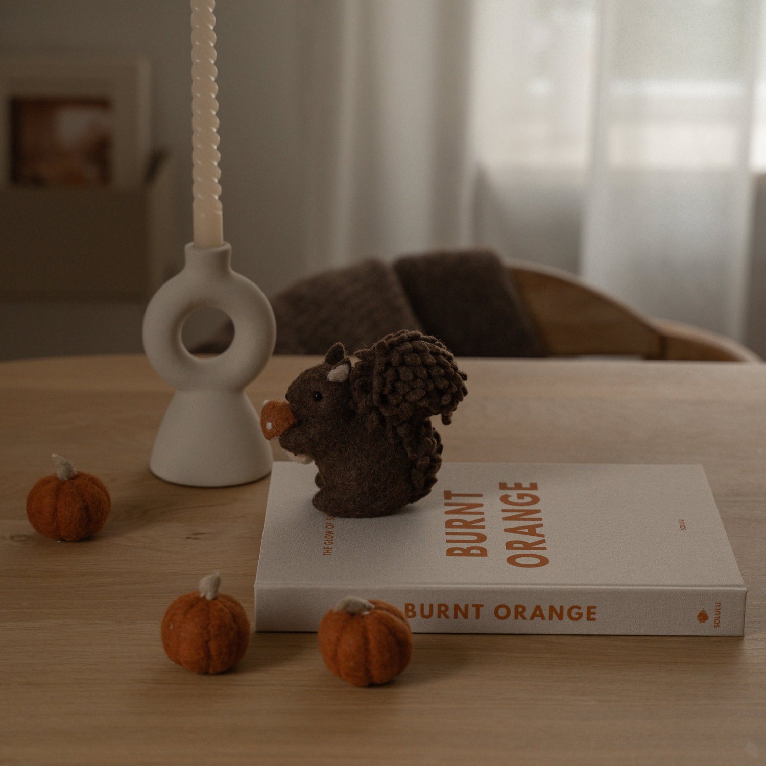 Burnt Orange storage book (L)