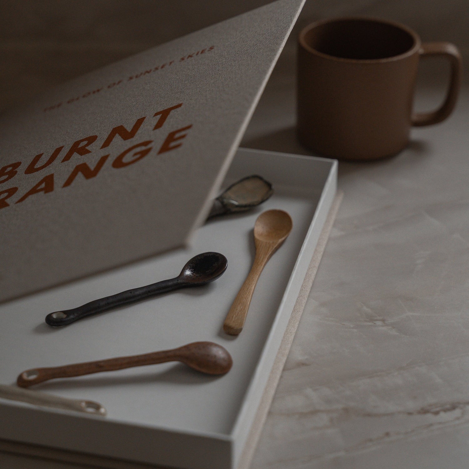 Burnt Orange storage book (L)