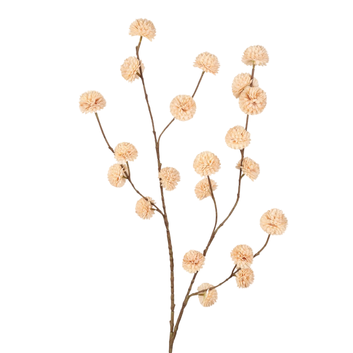 pompom bolletjes tak  creme