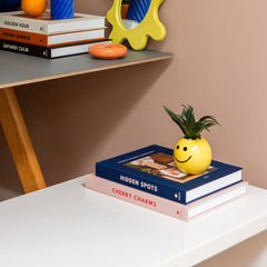 Solulu opbergboek | koffietafelboek met opbergruimte | roze rood blauw